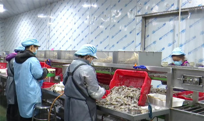 湖北味可滿食品 春風送崗促就業，精準服務暖民心